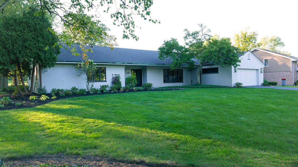 Tonys House- garden